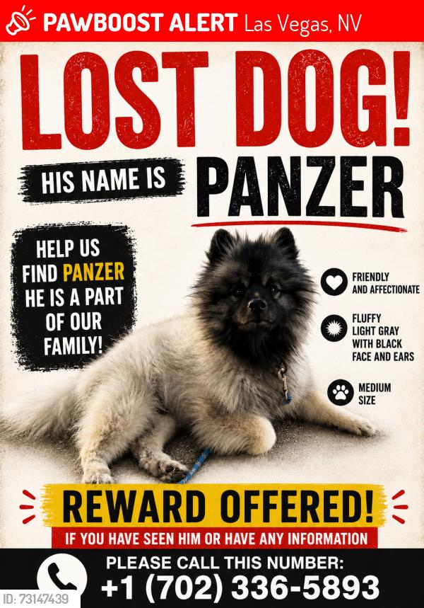 Lost Male Dog last seen Near W Kindle Corner Ave Las Vegas, NV 89138 Estados Unidos, Las Vegas, NV 89138
