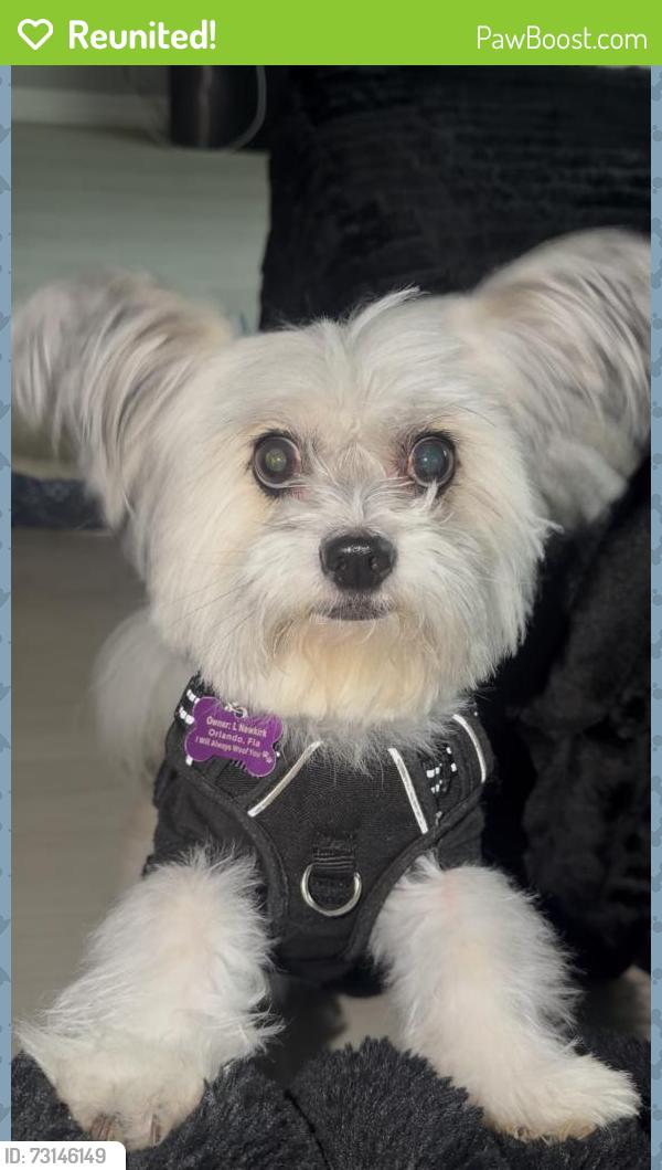 Reunited Male Dog last seen Near Riverdale Georgia, Riverdale, GA 30296
