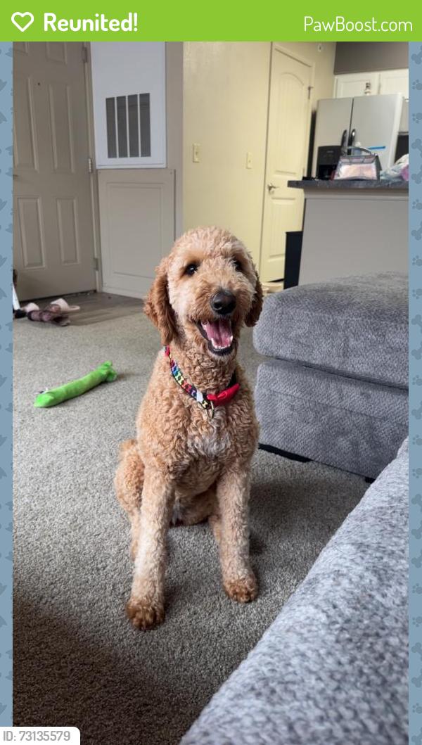 Reunited Female Dog last seen Hefner , western, Oklahoma City, OK 73114