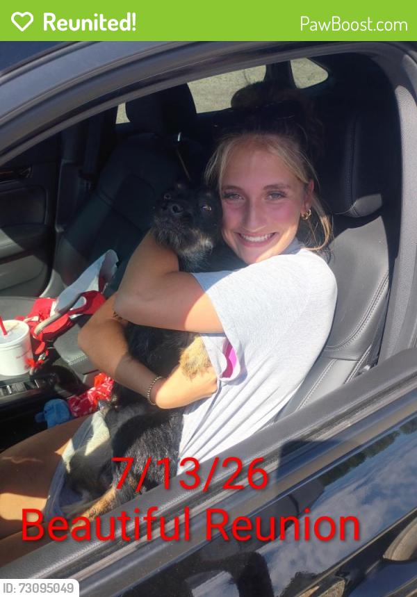 Reunited Male Dog last seen FM 1187, Fort Worth, TX 76140