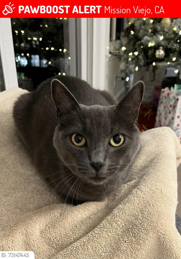 Lost Male Cat last seen Near Caseda, Mission Viejo, CA 92691, Mission Viejo, CA 92691