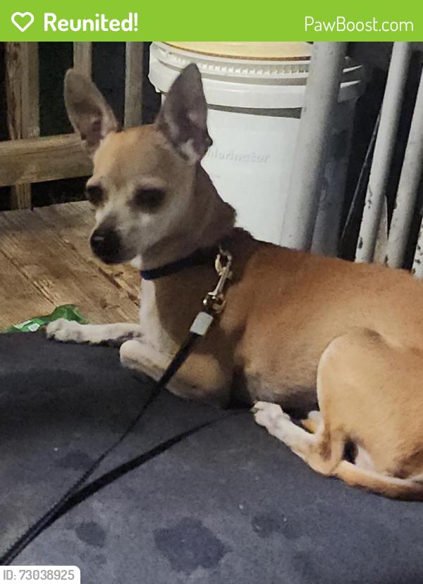 Reunited Female Dog last seen Becker Rd & Port Saint Lucie Blvd, Port St. Lucie, FL 34953