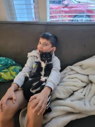 Lost Male Cat last seen Delaney and Kaley, Wadeview Park, Orlando, FL 32806