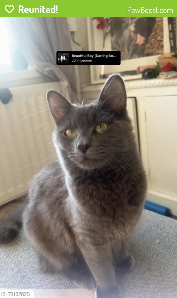 Reunited Male Cat last seen Near swallow close huntington, Huntington, England WS12 4TW