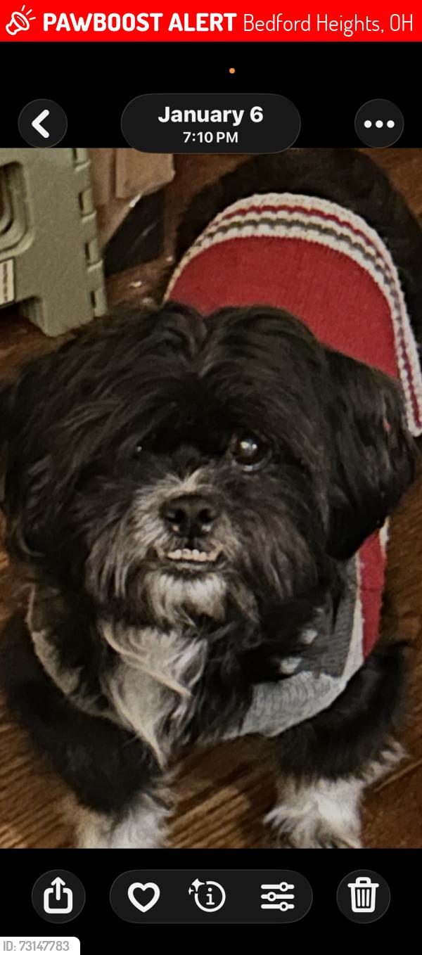 Lost Male Dog last seen Near Cannon Rd, Bedford Heights, OH 44146