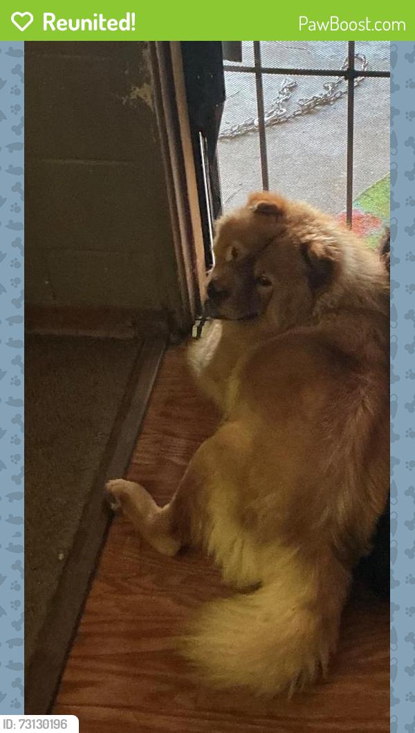 Reunited Male Dog last seen Westhaven, Jackson, MS 39209