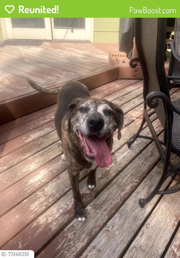 Reunited Female Dog last seen Briarwood Lakes ests Neighborhood, Wichita, KS 67212