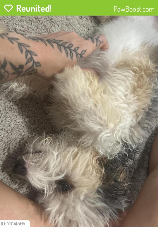 Reunited Male Dog last seen Todd rd, Perry, Perry, GA 31069