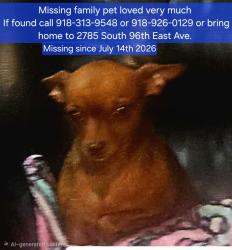 Reunited Female Dog last seen 29th an mingo, Tulsa, OK 74129