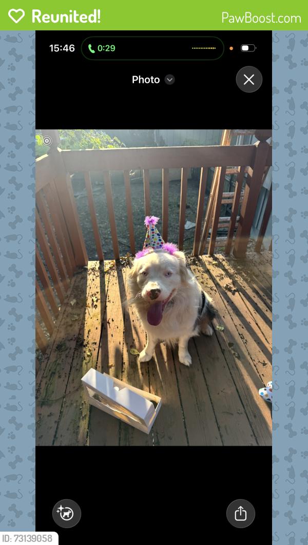 Reunited Male Dog last seen Prarie view, Lee's Summit, MO 64063