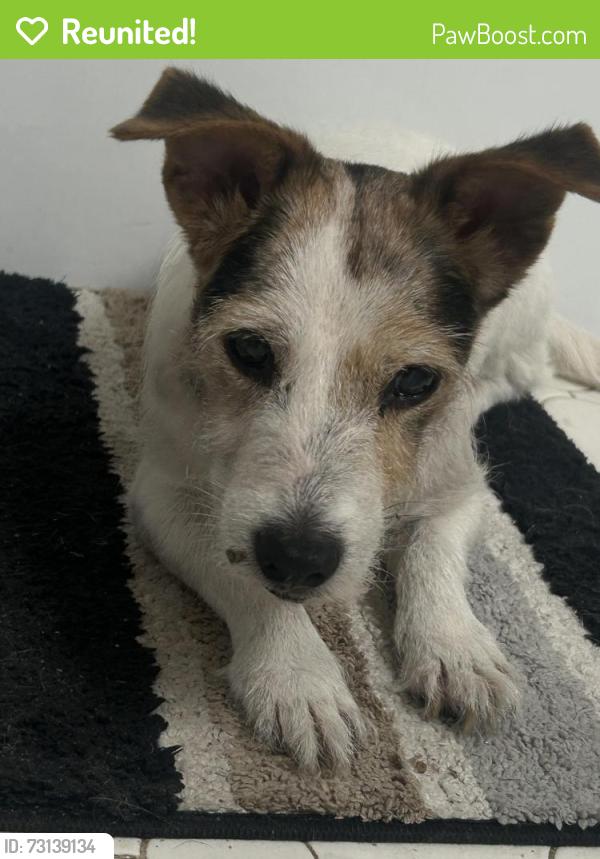 Reunited Female Dog last seen Humane Society of Lake City, Lake City, FL 32055