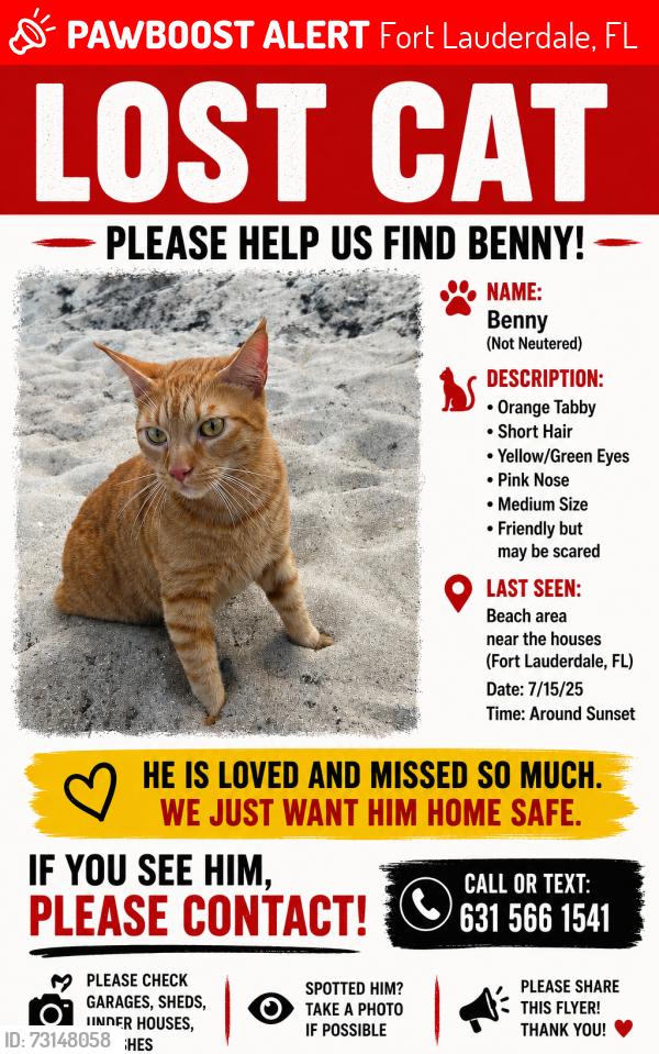 Lost Male Cat last seen Vista Park, Fort Lauderdale, FL 33308