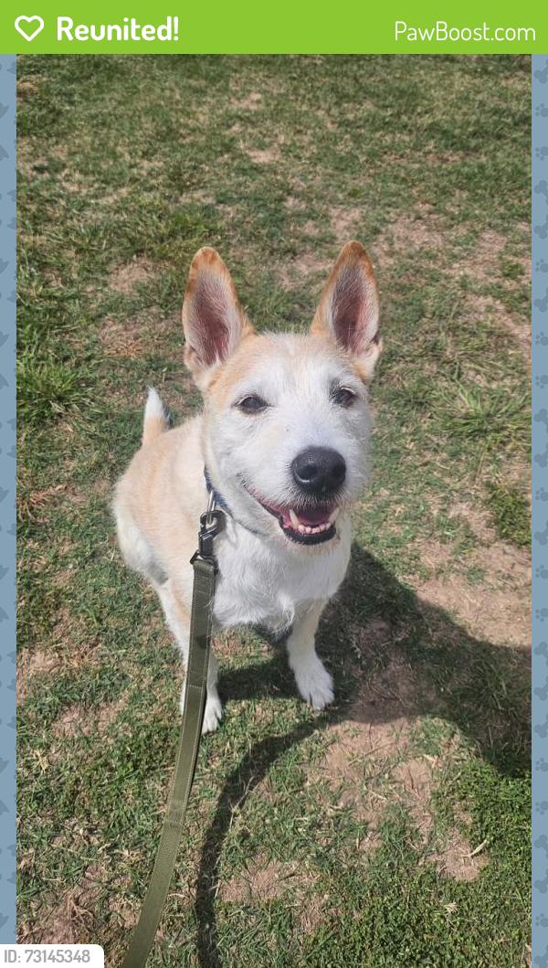 Reunited Male Dog last seen 81st/Glenrosa, Scottsdale, AZ 85251