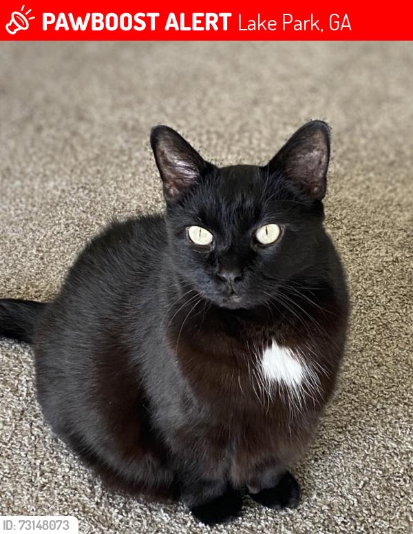 Lost Male Cat last seen Old U.S. 41 S across from the gas station in the cndmniums, Lake Park, GA 31636