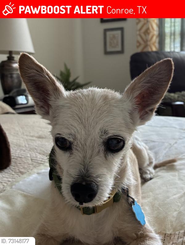 Lost Male Dog last seen Anderson Crossing, Conroe, TX 77304