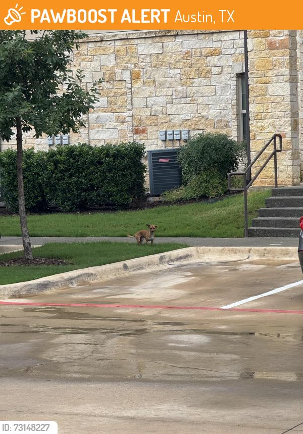 Found/Stray Unknown Dog last seen By back buildings near dog park, Austin, TX 78754