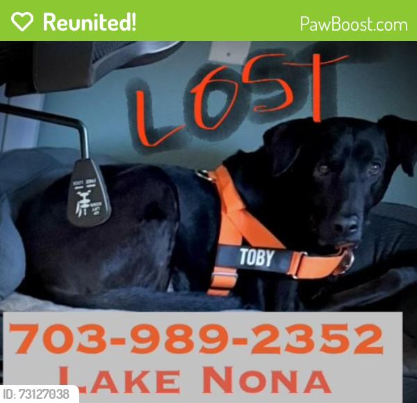 Reunited Male Dog last seen Dowden Rd and narcoossee, Orlando, FL 32832