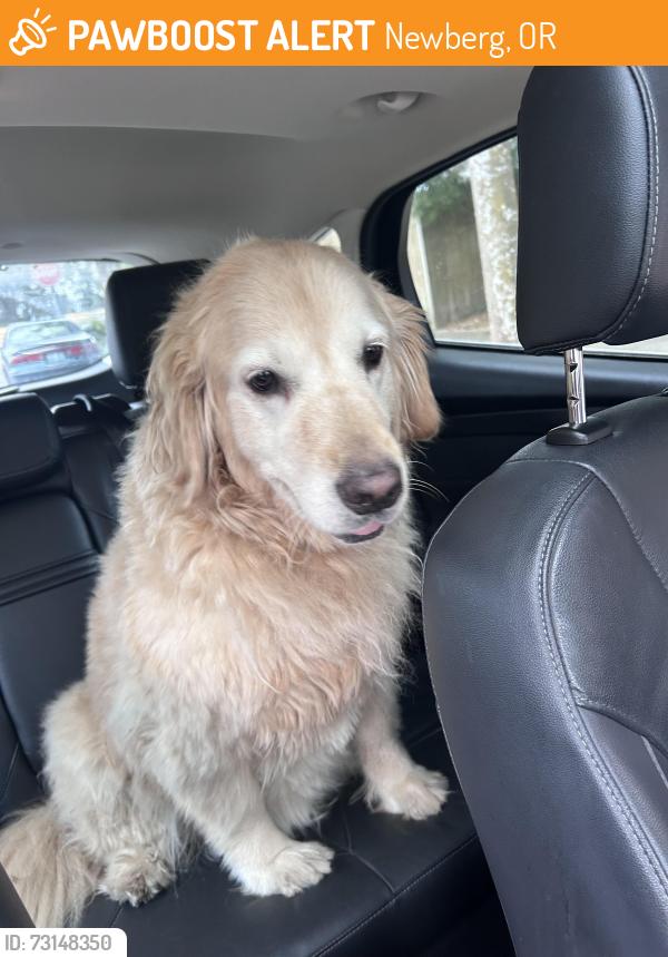 Found/Stray Unknown Dog last seen Melody lane Newberg, Newberg, OR 97132