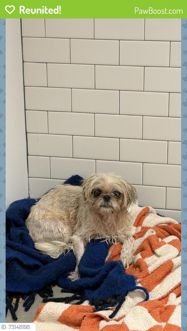 Reunited Unknown Dog last seen Austin, TX, USA, Austin, TX 78701