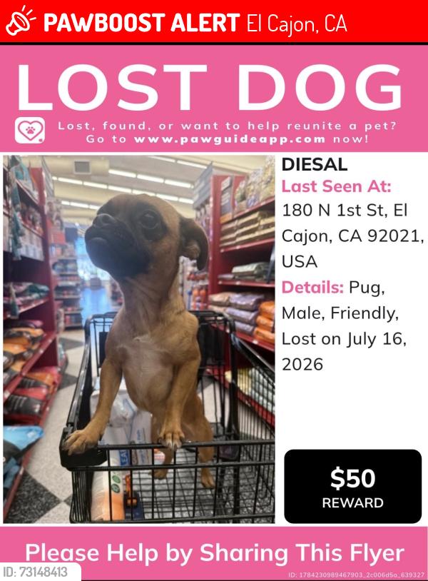Lost Male Dog last seen Manolo supermarket, El Cajon, CA 92021