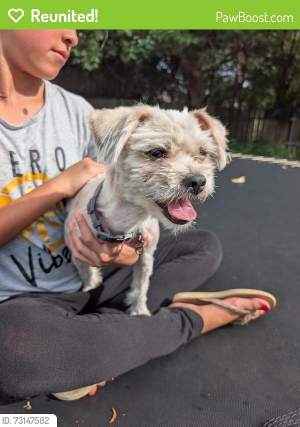 Reunited Male Dog last seen Woodrun Park, Yukon, OK 73099
