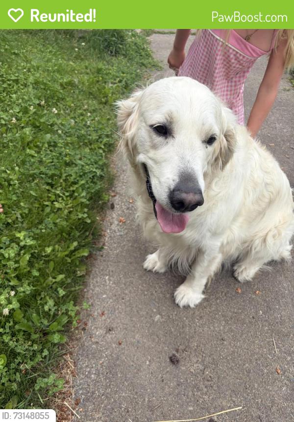 Reunited Male Dog last seen 28th and Brown, South Hill, Spokane, WA 99203