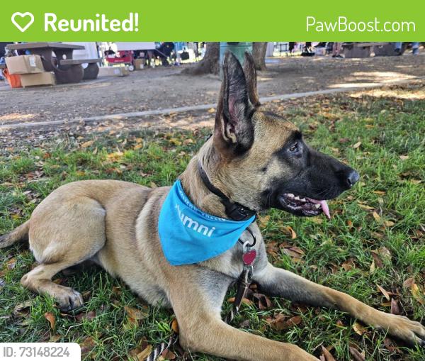 Reunited Female Dog last seen Near Farrell Ave, Gilroy, CA 95020
