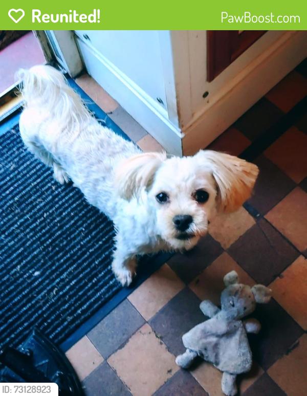 Reunited Female Dog last seen Foxt Church/Ipstones edge, Foxt, England ST10 2HW