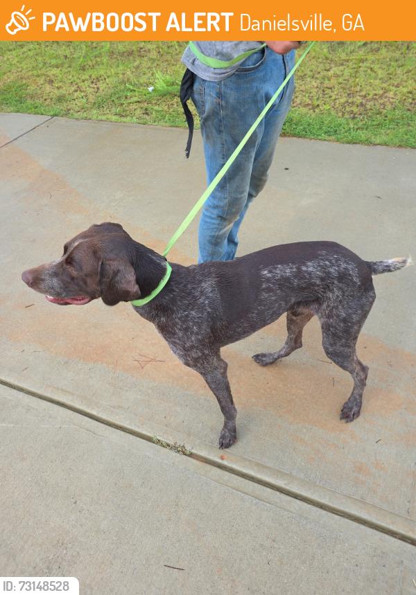Found/Stray Male Dog last seen Scout hut and sam groves, Danielsville, GA 30633