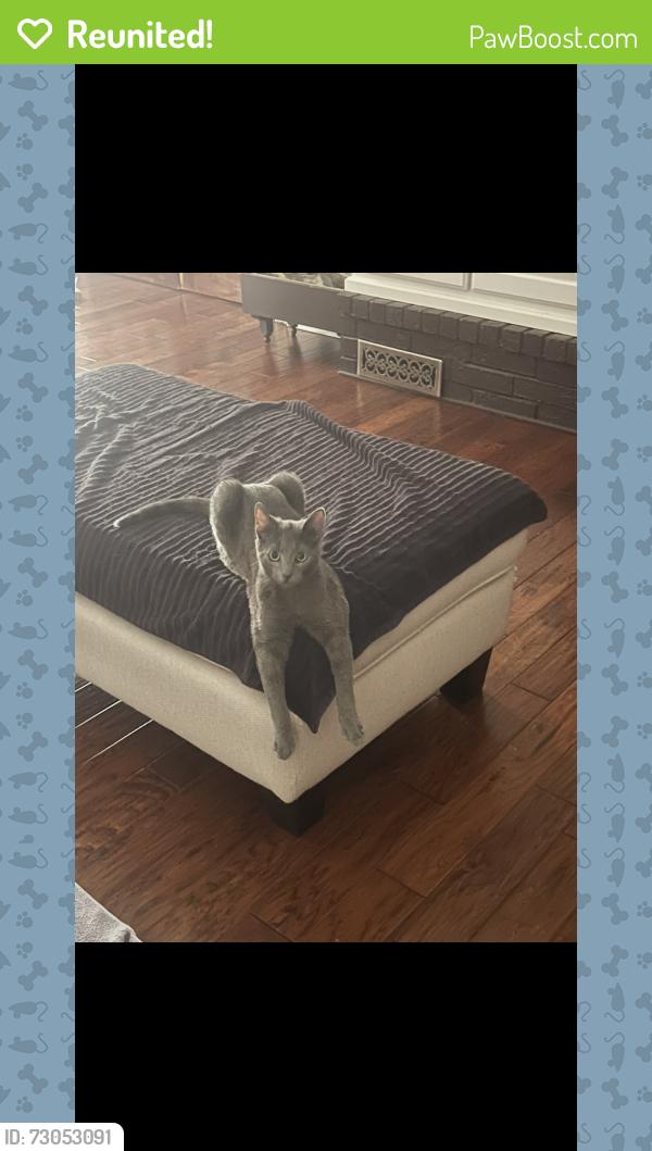 Reunited Male Cat last seen Near sw 100th Pl, Oklahoma City, OK 73159