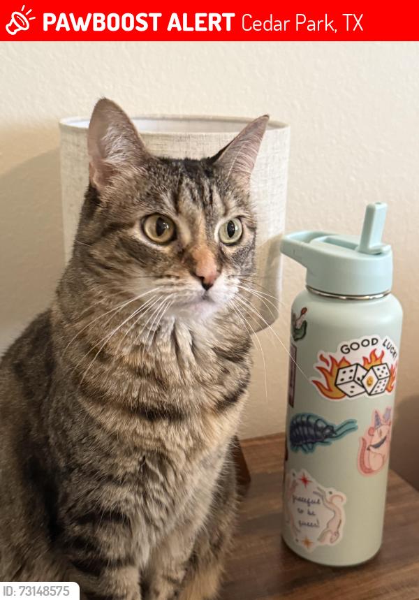 Lost Female Cat last seen Palo Duro Dr and Bull Creek Parkway, Cedar Park, TX 78613
