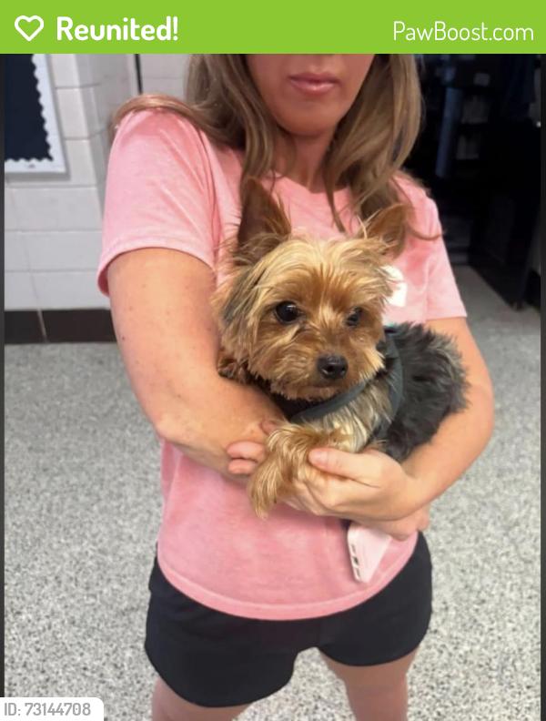 Reunited Male Dog last seen Nan Gray Davis Elementary, Theodore, AL 36582
