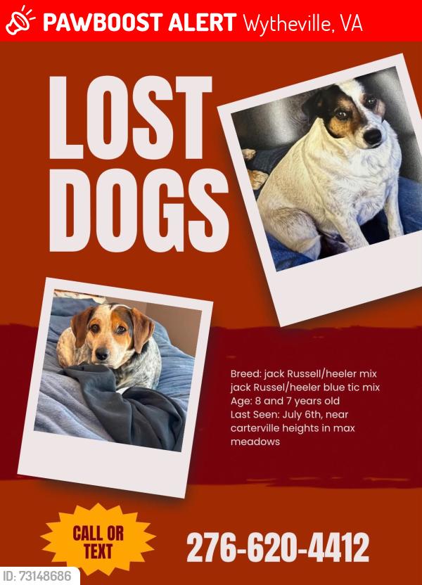 Lost Male Dog last seen Cartersville Heights subdivision, Wytheville, VA 24382