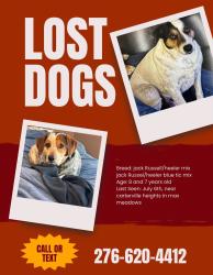 Lost Male Dog last seen Cartersville Heights subdivision, Wytheville, VA 24382