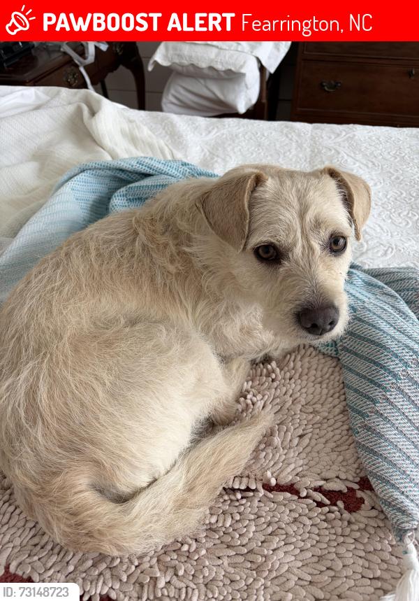 Lost Female Dog last seen Shagbark and Crosscreek, Fearrington, NC 27312