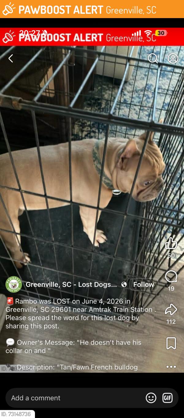 Found/Stray Unknown Dog last seen Kroc center, Greenville, SC 29601
