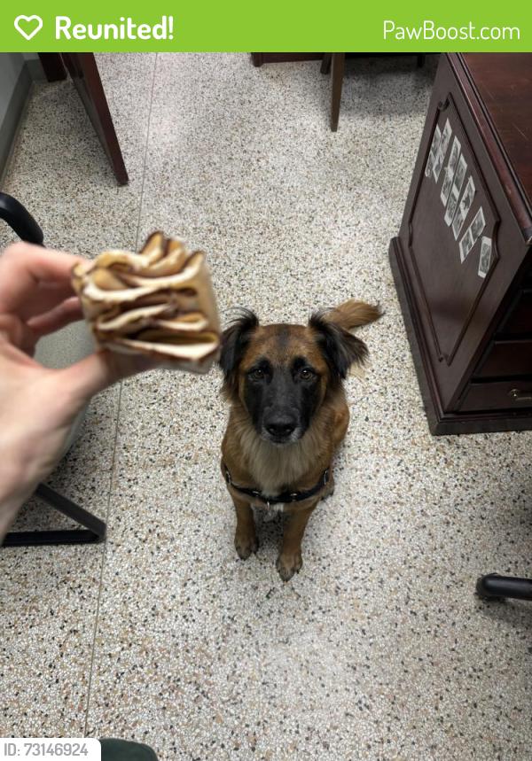 Reunited Female Dog last seen Maple Park, Midland Valley Trail, Tulsa, OK 74120