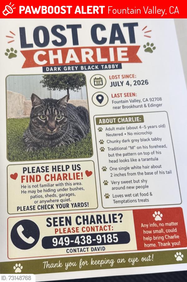 Lost Male Cat last seen Edinger and brookhurst, Fountain Valley, CA 92708