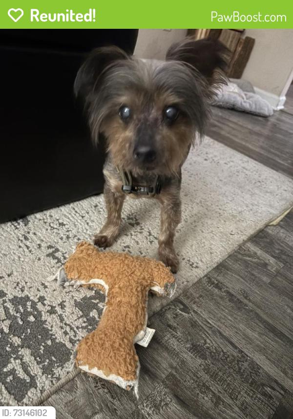 Reunited Male Dog last seen Near Cedar Spgs Dr, Winston-Salem, NC 27107, USA, Winston-Salem, NC 27107