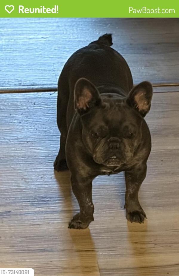 Reunited Female Dog last seen Perth rd, Troutman, NC 28166