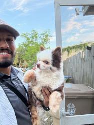 Reunited Male Dog last seen Publix Longwood hills, Longwood, FL 32750