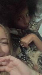Lost Male Cat last seen Near e farrier dr, Casa Grande, AZ 85122