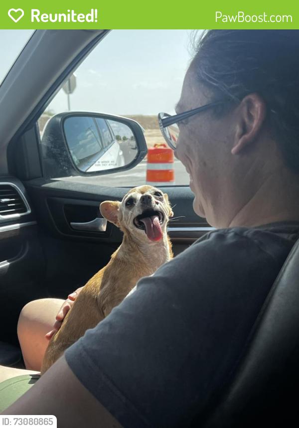 Reunited Female Dog last seen Zenair, Horizon City, TX 79928