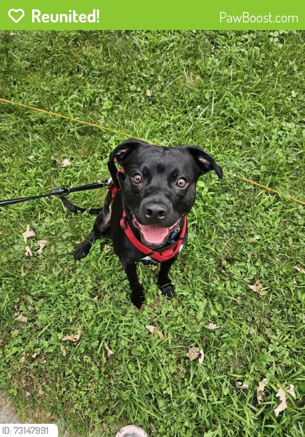 Reunited Male Dog last seen Near Seneca Ave, Des Moines, IA 50310