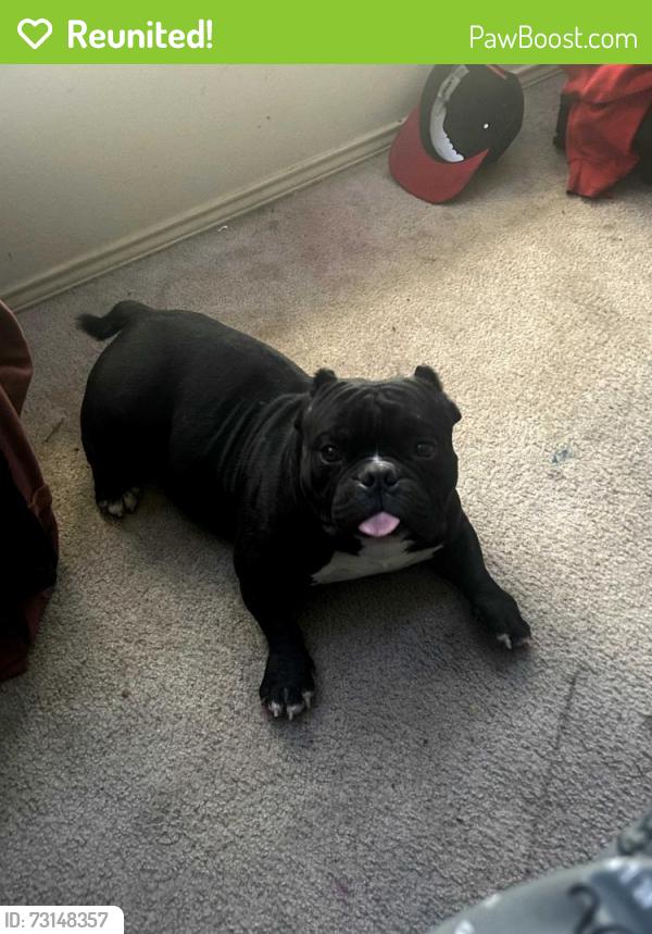 Reunited Male Dog last seen St. Augustine/ Scyene/ Military Pkwy area, Dallas, TX 75227