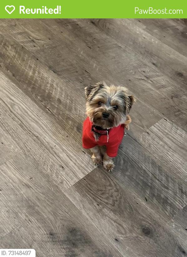 Reunited Male Dog last seen Colonel Dr in Killeen, Killeen, TX 76549