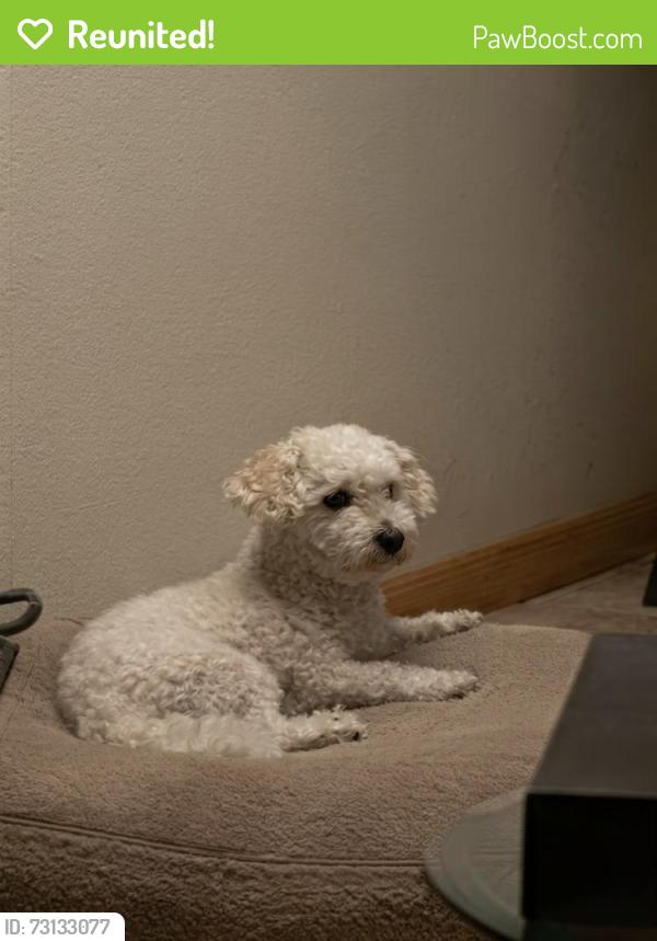 Reunited Male Dog last seen Near Briarwood Ave Fontana, CA 92335 United States, Fontana, CA 92335
