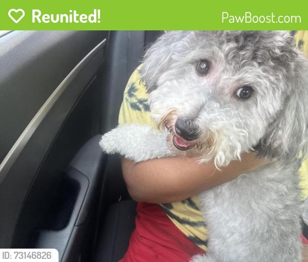 Reunited Male Dog last seen Ward Lake, Ellenwood, GA 30294
