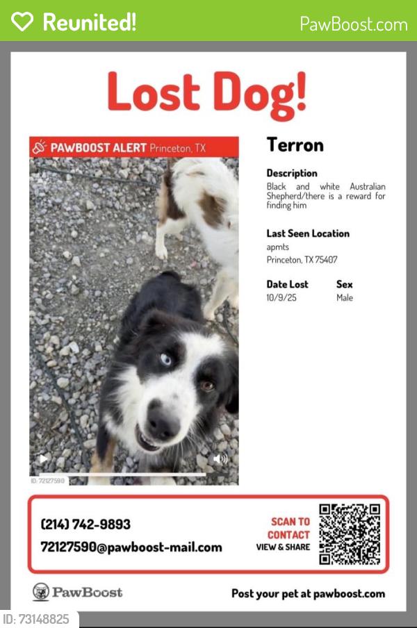 Reunited Male Dog last seen Wood St, Princeton, TX 75407, USA, Princeton, TX 75407