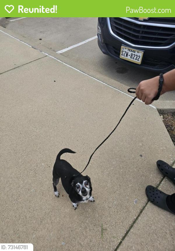 Reunited Male Dog last seen Holiday South Grand Prairie area, Grand Prairie, TX 75052
